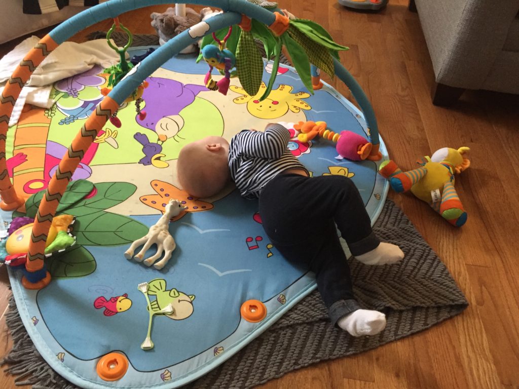 Photo Feb 16, 2 41 15 PM