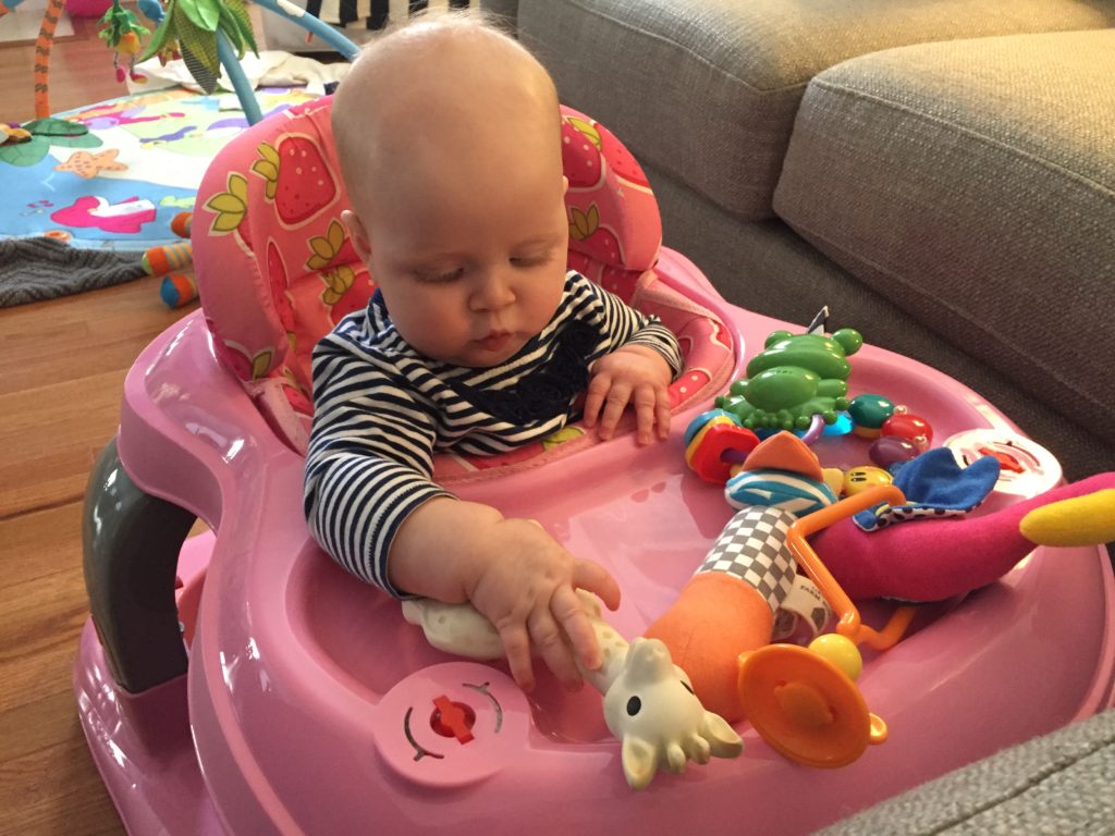 Photo Feb 16, 3 02 28 PM