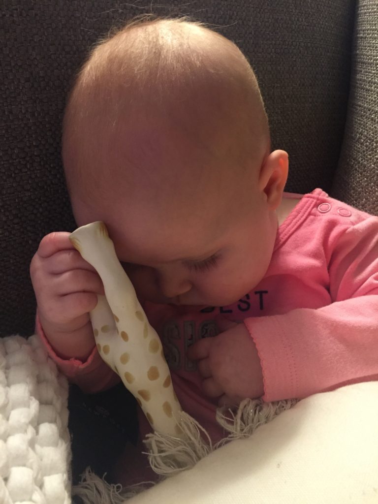 Photo Jan 23, 6 18 08 PM