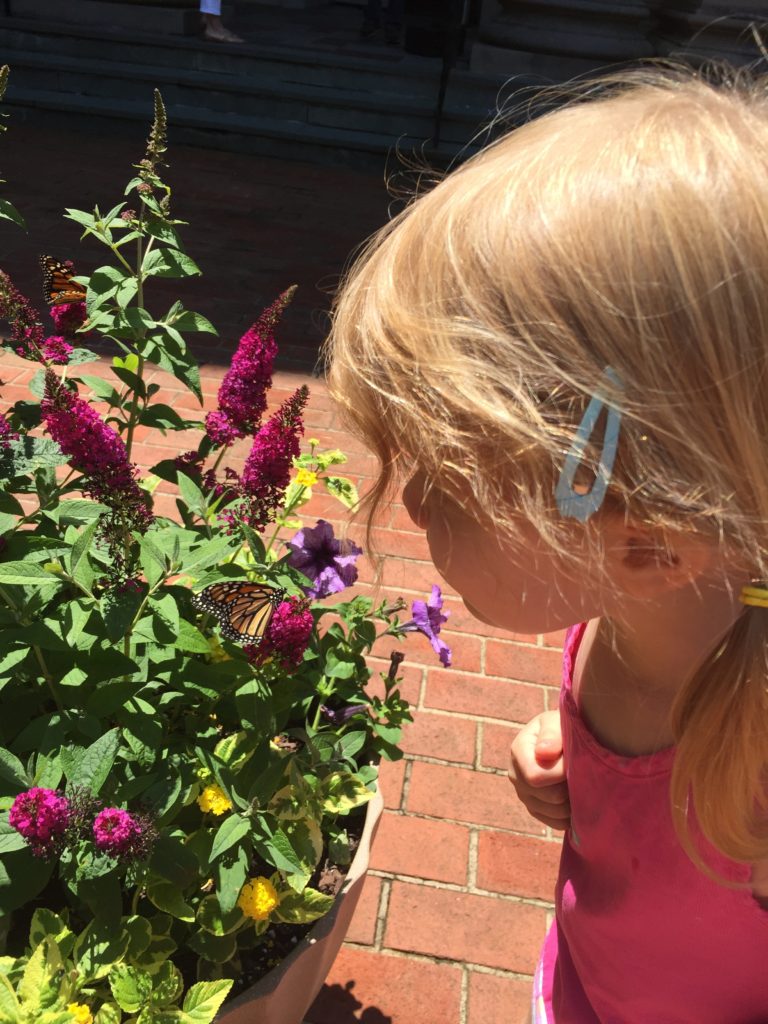 Photo May 10, 12 43 32 PM