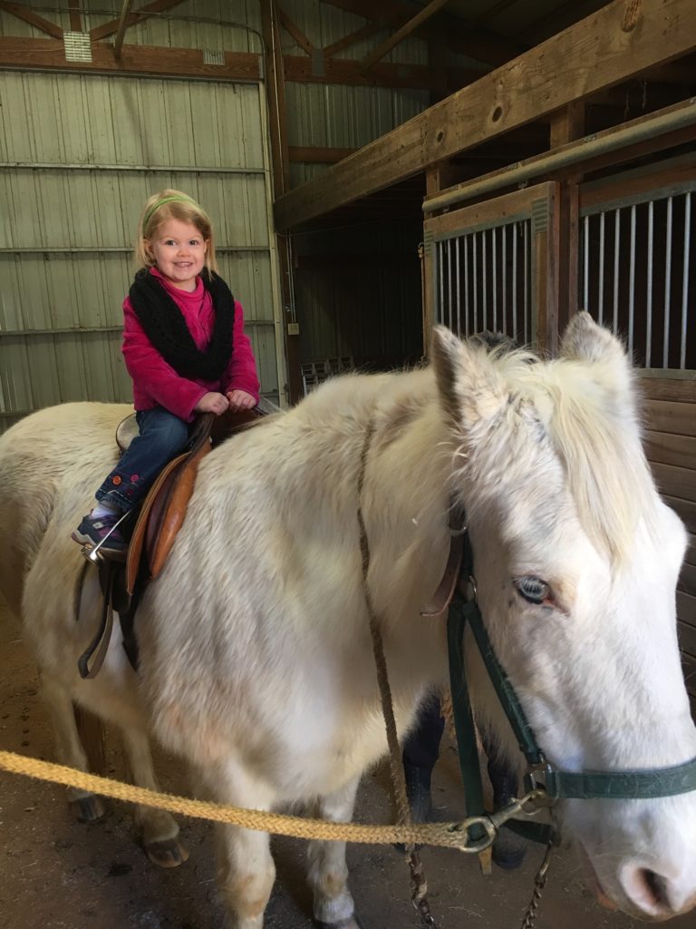 Photo Dec 30, 10 30 06 AM